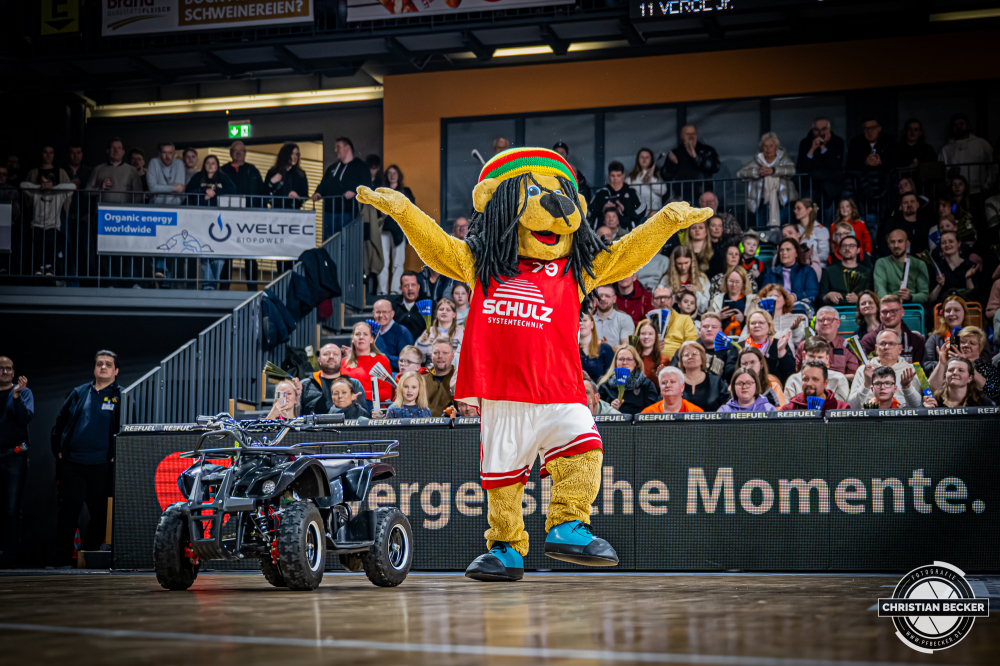 1. Basketball Bundesliga, easyCredit BBL, Saison 2025/2026, Herren, Hauptrunde, 20. Spieltag, 14.02.2026, RASTA Vechta - ratiopharm Ulm
Bob (Maskottchen - RASTA Vechta) w&auml;hrend der Partie
Schlüsselwörter: 1. Bundesliga;14.02.2026;20. Spieltag;BBL;Basketball;Hauptrunde;Liga;RASTA;RASTA Dome;Saison 2025/2026;Ulm;Vechta;easycredit;ratiopharm